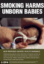 Plain packaging unborn babies