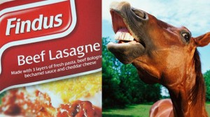 viande-de-cheval-findus-lasagne_1328647